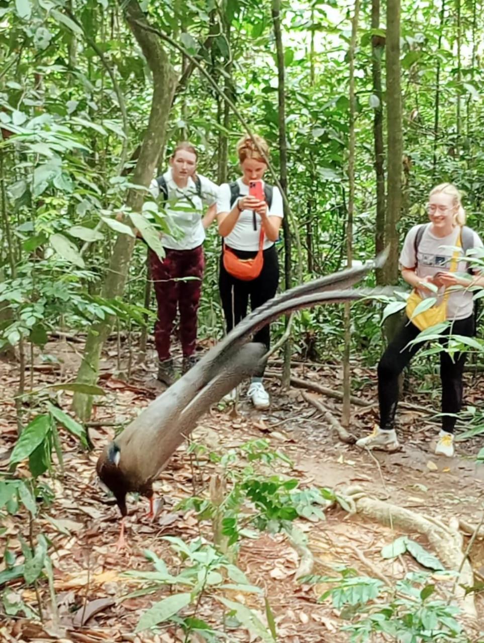 Landak River Guest House Only Trekking With Us Bukit Lawang Exterior foto