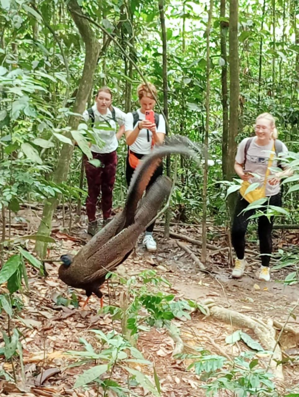 Landak River Guest House Only Trekking With Us Bukit Lawang Exterior foto