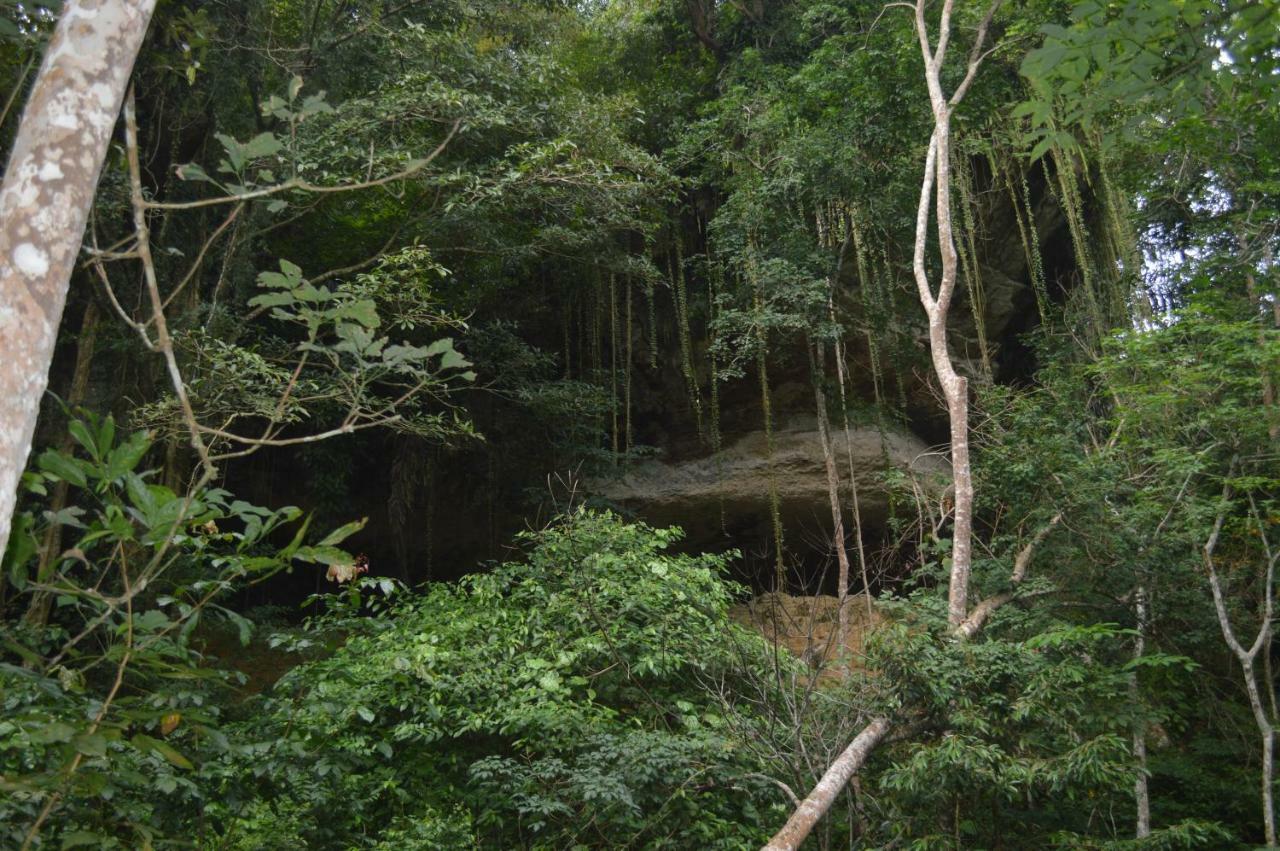 Landak River Guest House Only Trekking With Us Bukit Lawang Exterior foto