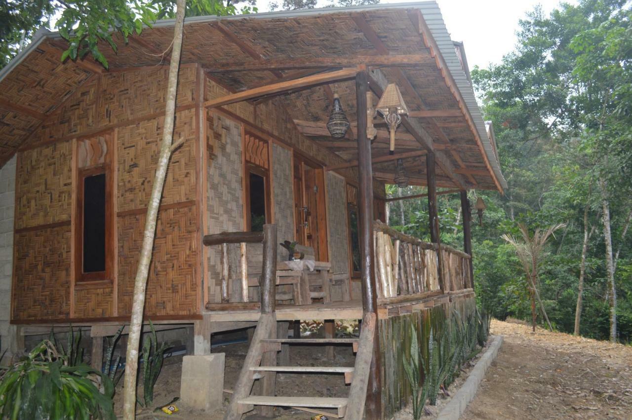 Landak River Guest House Only Trekking With Us Bukit Lawang Exterior foto