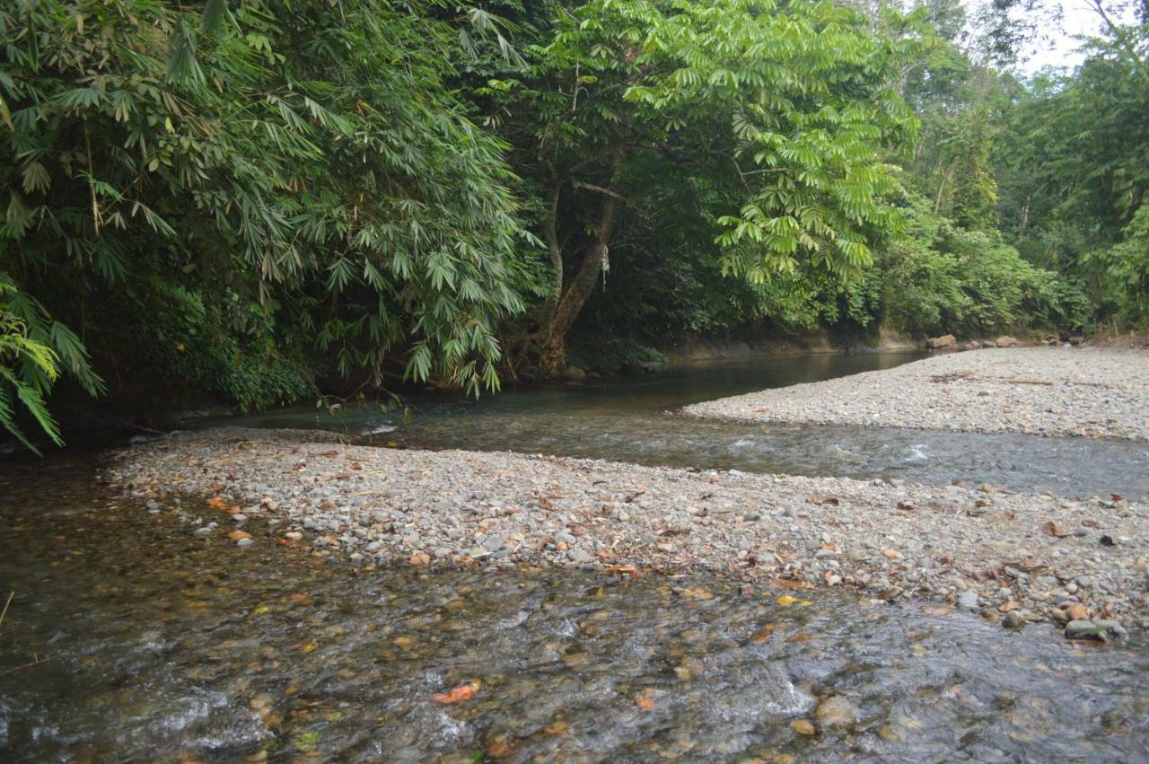 Landak River Guest House Only Trekking With Us Bukit Lawang Exterior foto