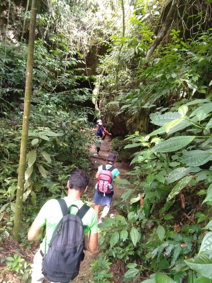 Landak River Guest House Only Trekking With Us Bukit Lawang Exterior foto