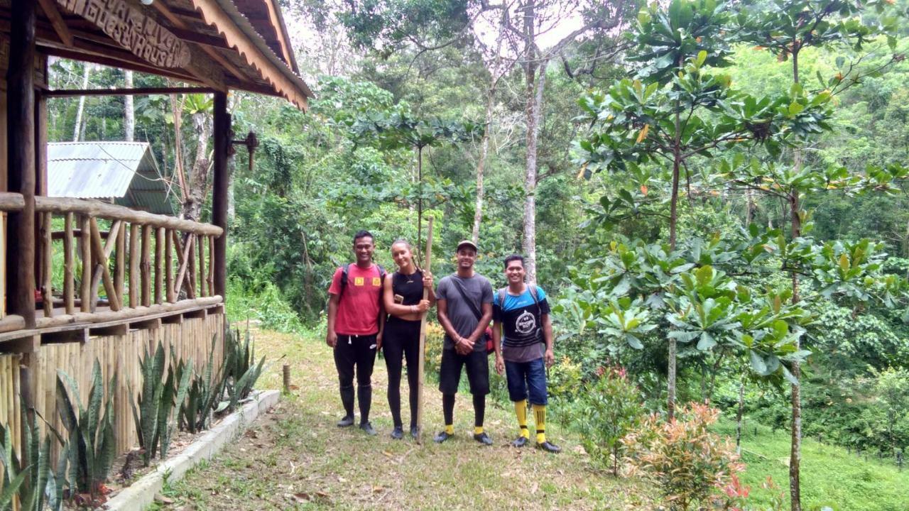 Landak River Guest House Only Trekking With Us Bukit Lawang Exterior foto