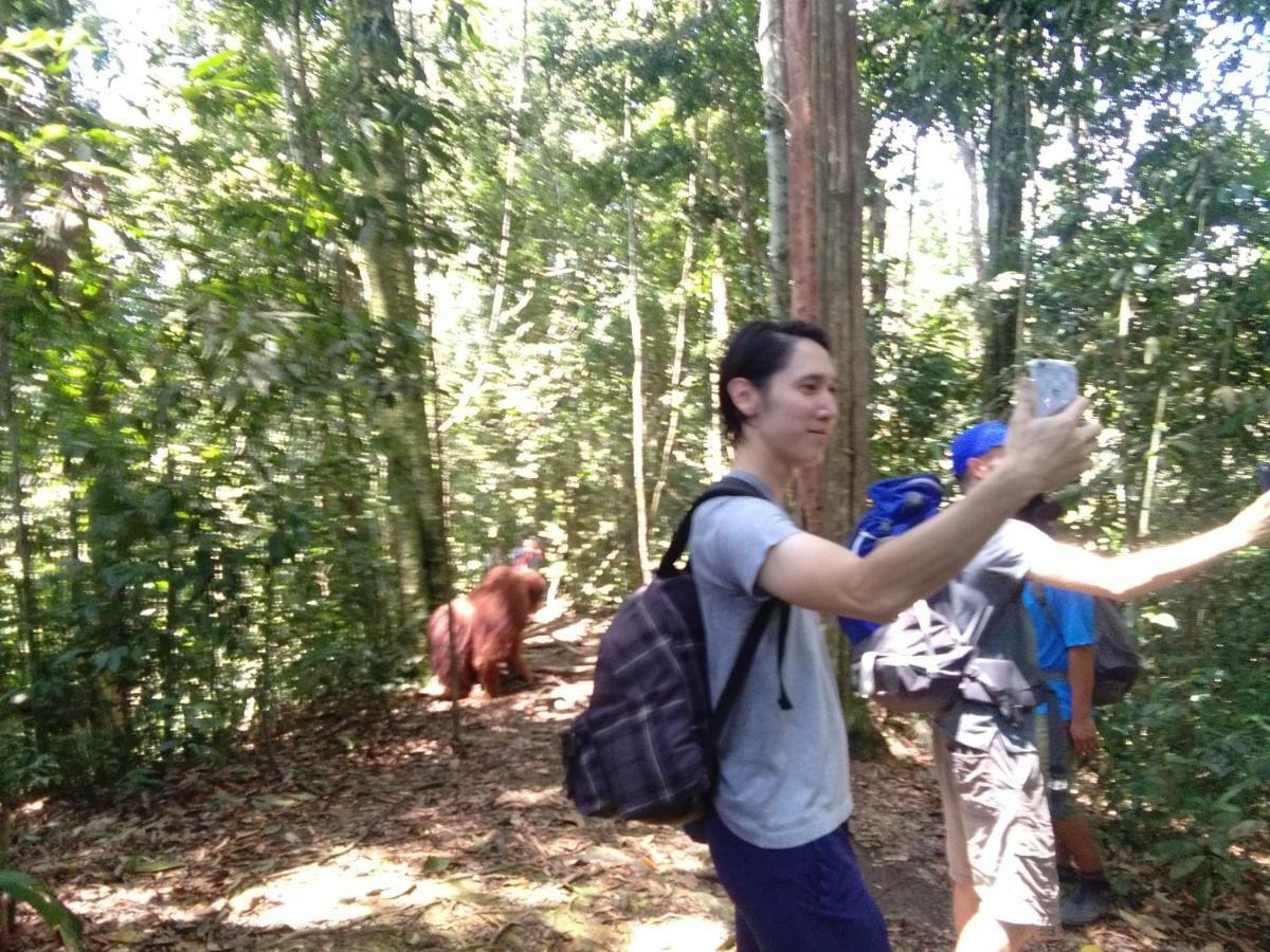 Landak River Guest House Only Trekking With Us Bukit Lawang Exterior foto